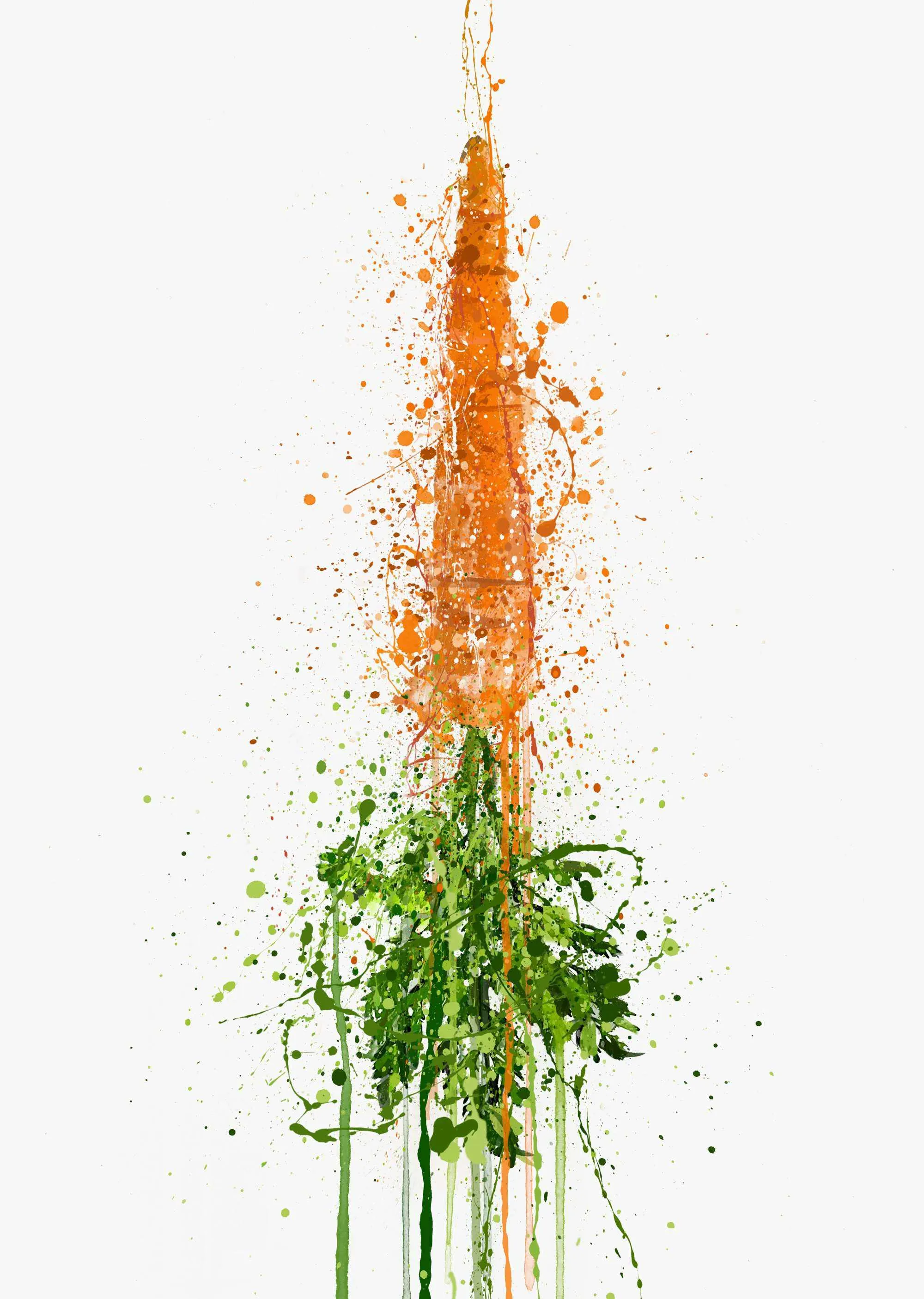 Carrot Vegetable Wall Art Print