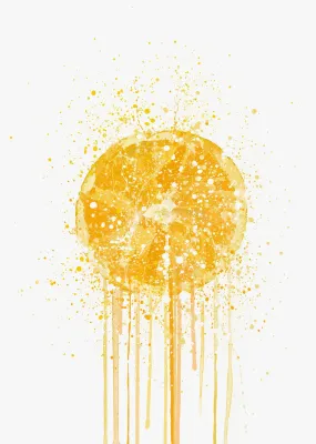 Orange Fruit Wall Art Print